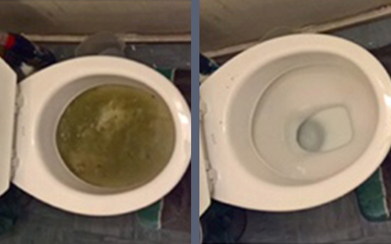 Toilet Drains at 1st Drain Clear in Chislehurst, Kent